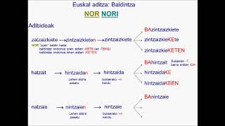 Baldintza nor nori