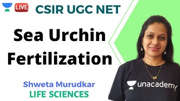 Sea Urchin Fertilization | Life Sciences | Unacademy Live - CSIR UGC NET | Shweta Pankaj Murudkar