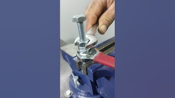 Your Daily Dose of Life Hacks #shorts #diy #tips #tricks #gardening #tools #lifehacks