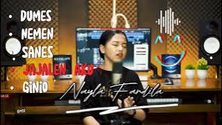 Nayla Fardila Cover Full Album ||Lagu viral tiktok 2023