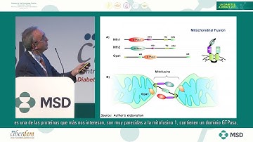 Aging and skeletal muscle RA 2017