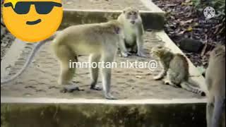 Mwaisa ametaitishwa na crew ya masela🤣🤣🤣🤣