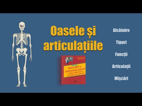 Video: Vertebrele sunt oase lungi?