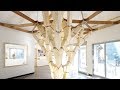 Tree-shaped structure shows how mushroom roots could be used to create building frameworks Tree-shaped structure shows how mushroom roots could be used to create building frameworks