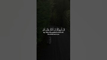 أكتب شيء تؤجر عليه 🪐🤎. / القارئ طارق محمد