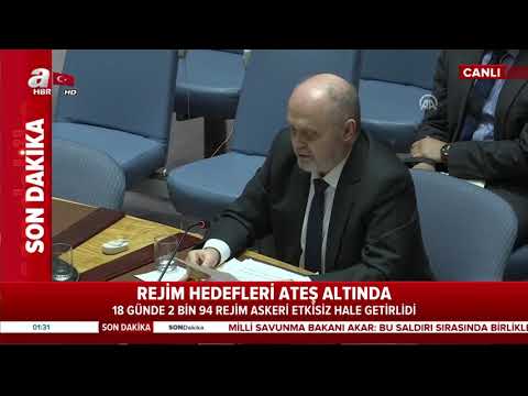 BM Temsilcisi Feridun Sinirlioğlu BMGK'da konuştu