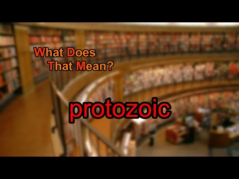 What does protozoic mean?