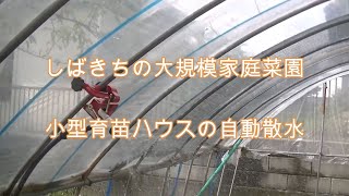 小型育苗ハウスの自動散水