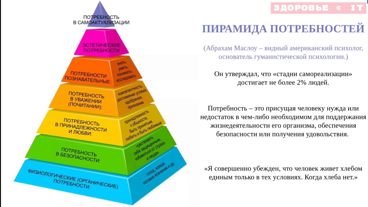 Пирамида маслова Пирамида маслова