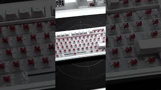 Corex glx  gamingsetup asusrog5s pcsetup asusrogphone5s5g pcbuild pcsettings gaming shorts