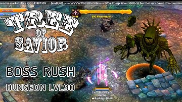 [Tree of Savior] Dungeon level 90 Boss Rush