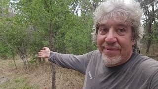 25 meter zero: Why I zero my optics and firearms within that distance. 