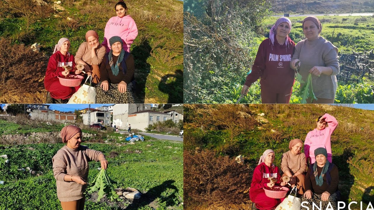 فلوك يوم عند بنتي رحنا على الخبيزة معا خالته أو حماته تعو شوف أجواء طبيعه 