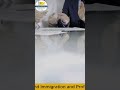 What AdvanceMyProfile Is NOT