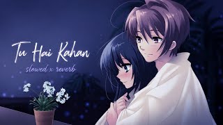 Tu Hai Kahan (Slowed & Reverb) |Lyrics|