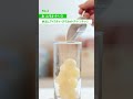 日東紅茶「凍らせて、注ぐだけ！かんたん3ステップで完成🌟🫖組み合わせ自由自在！＃紅茶氷　アレンジ🧊「リッチアイスティー」篇