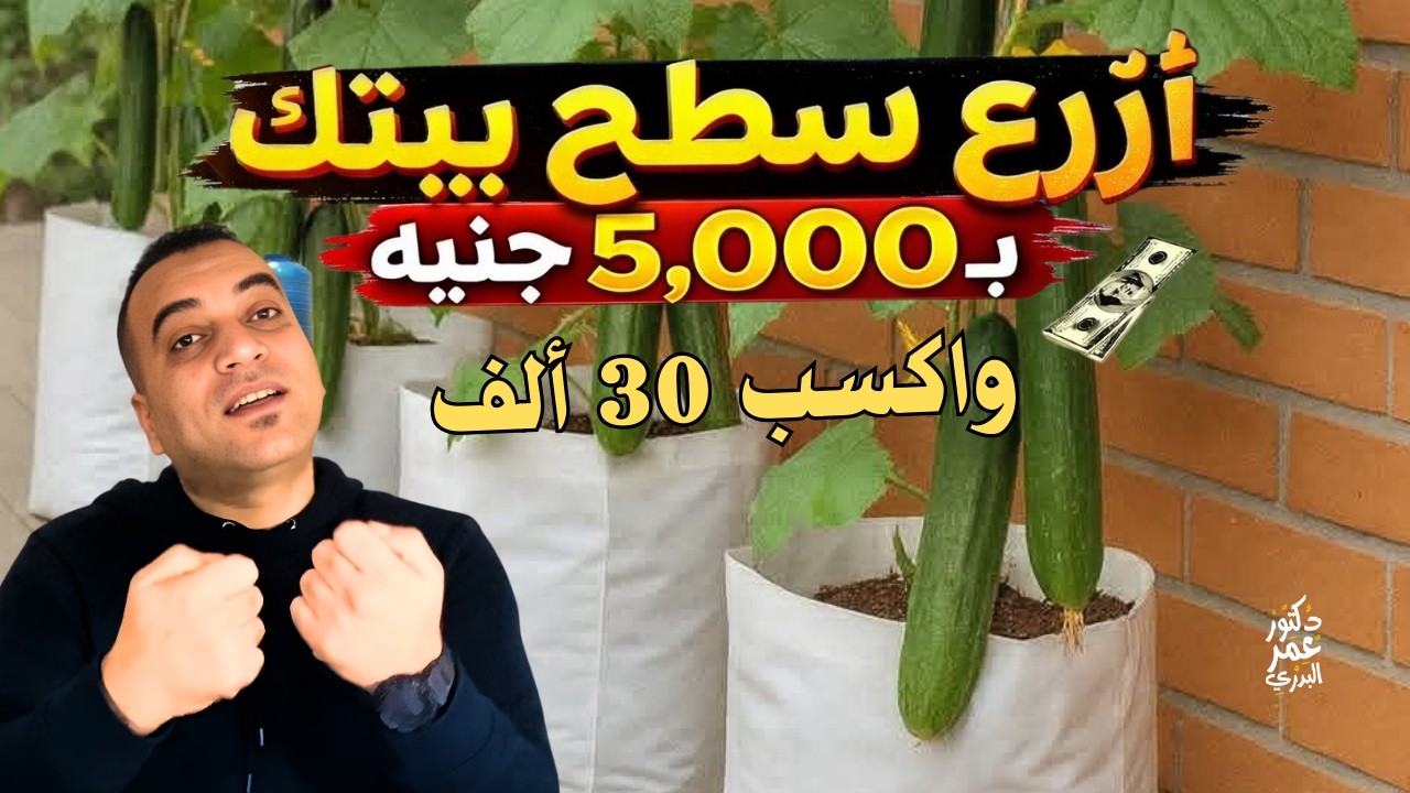 حوّل سطح بيتك لمشروع يجيب 30 ألف كل 3 شهور بـ5 آلاف بس!