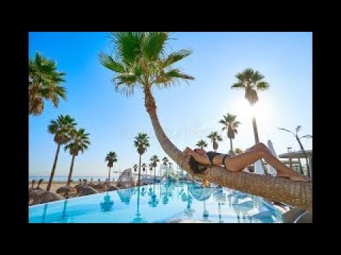 Download 🍍🌴Summer Mix 2020🌴 House Music🍍 # 15 - YouTube