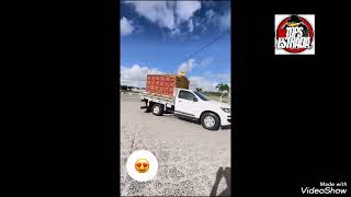 S10 Qualificada