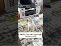 Does your dog make strange noises?#dog #sound #dramatic #reaction #joy 