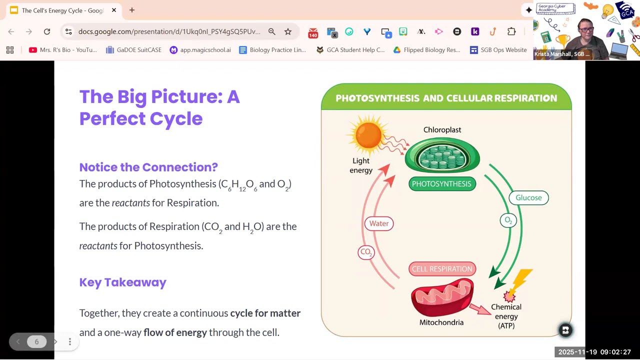 Cell Energy Cycle Boot Camp