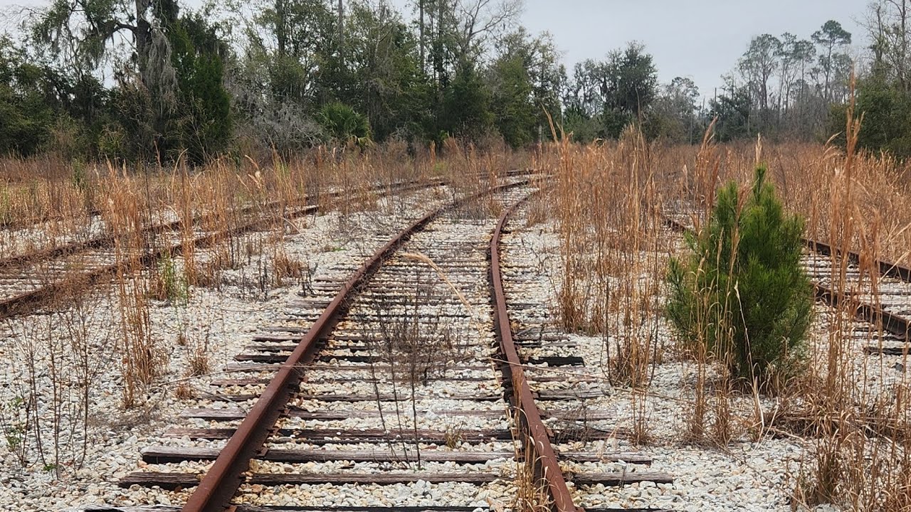 Saturday's adventure 