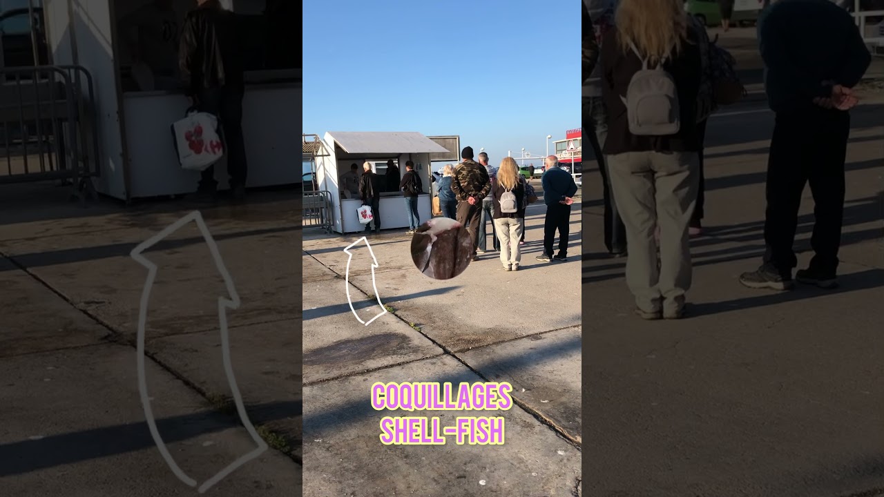 La vie quotidienne à Carro. Cote bleu. 🌊 Daily routine in Carro. Blue coast. France