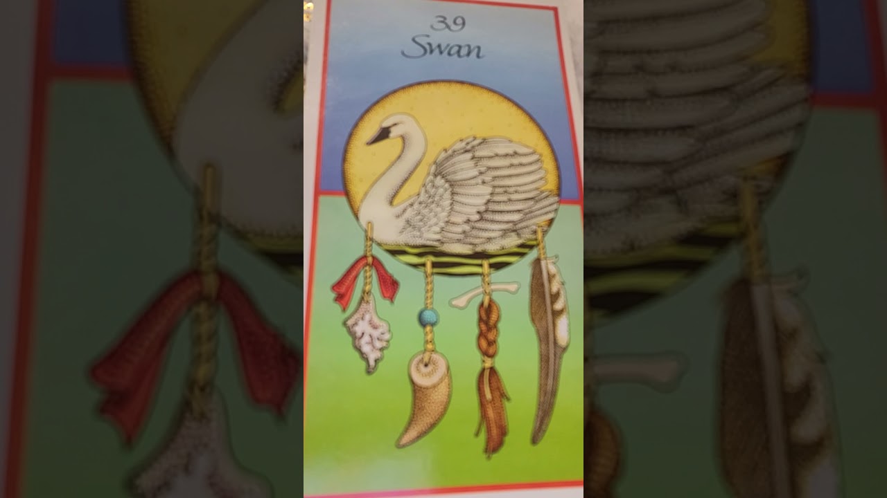 Swan for Wk of Jan. 12th~26,  Sacred Space & Eternal Grace w 