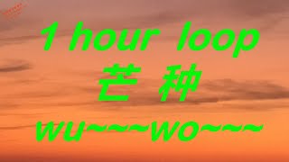 [Lyrics + Pinyin + Eng] 1 hour loop wu--- wo--- (Grain in Ear) 一小时循环版 芒种 (一想到你我就 wu---) máng zhòng