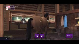 REVEL of the Easter egg locations in Equestriad+item revel screenshot 1