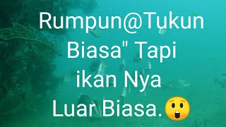 Rumpuntukun Biasa Tapi Ikannya Luar Biasa