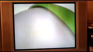 Nova vinheta Interprogramas da TV Leste/Record