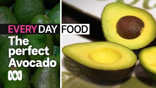 How to pick the perfect avocado? | Everyday Food | ABC Australia