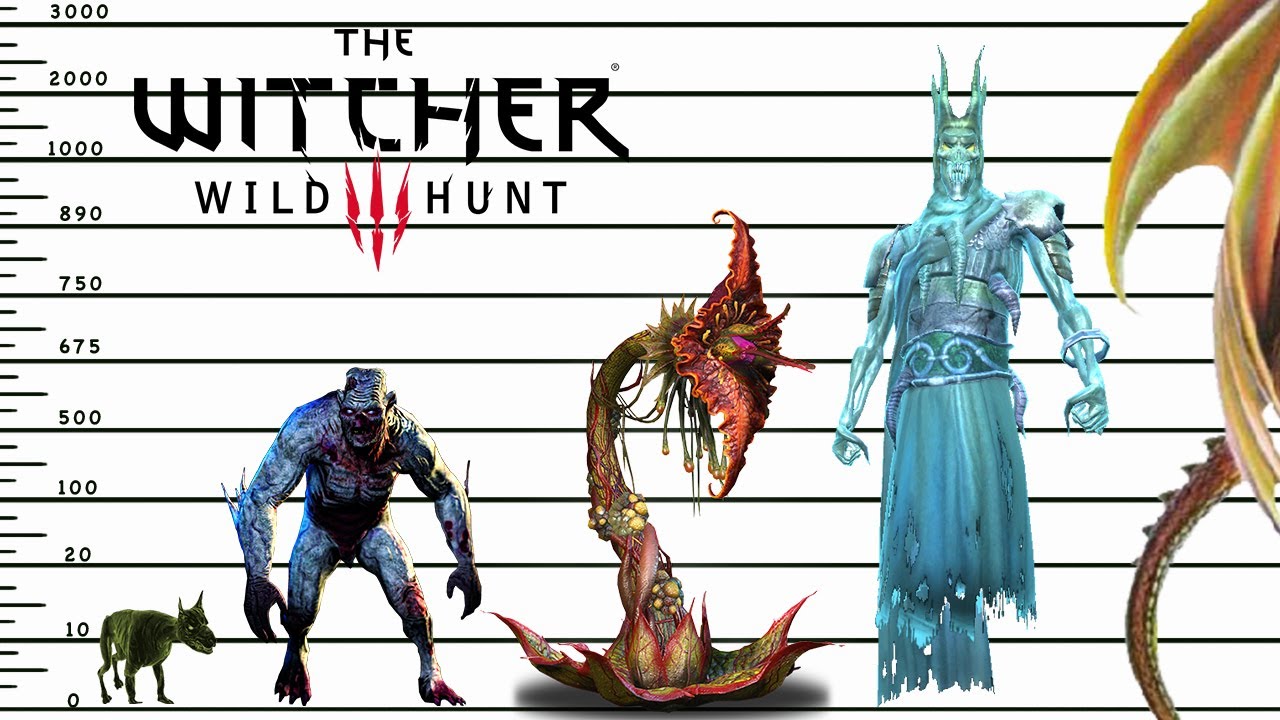 comment changer la taille des monstres avec des... The Witcher - Comparaison de la taille des monstres | Vidéo ...