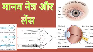 Human Eye, Science one Std -10th मानव नेत्र औऱ लेंस,  Sure Success in Studies #kshukla