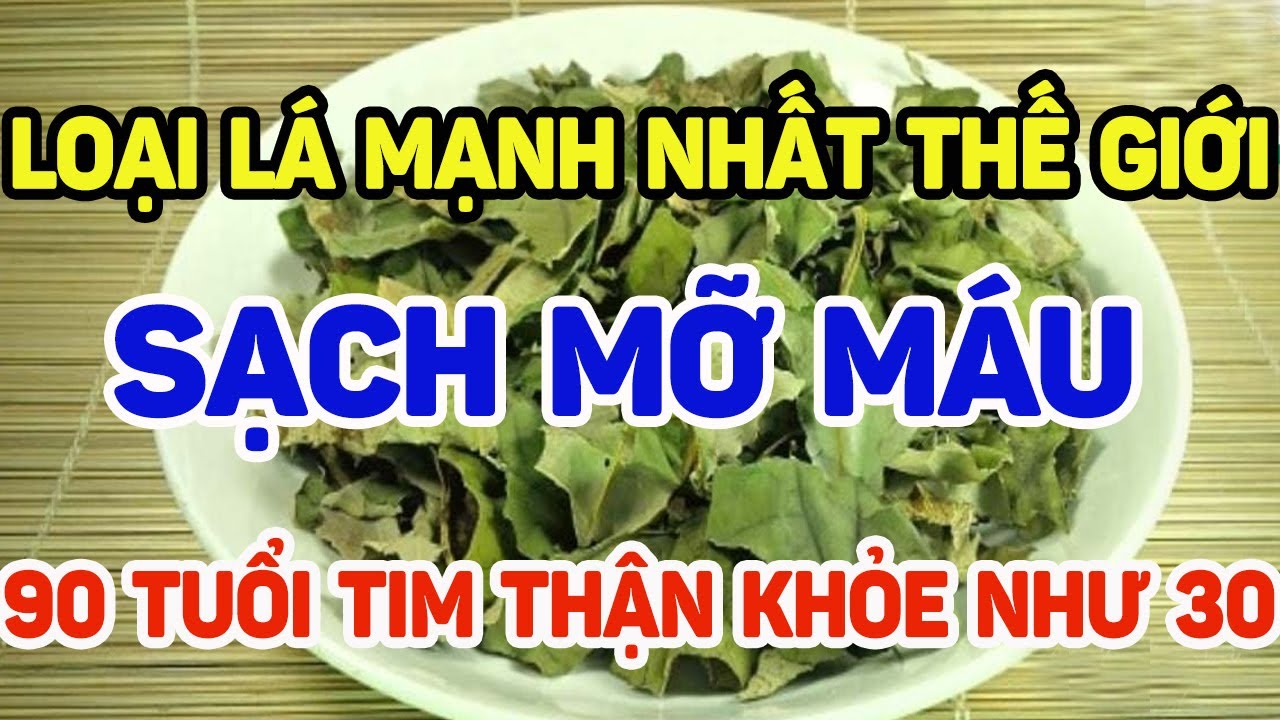 1 loại lá giúp làm sạch mỡ máu, 90 tuổi tim thận khỏe như 30