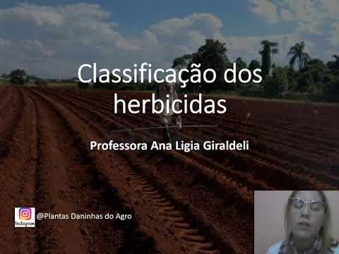 Vídeo: Como funcionam os herbicidas orgânicos - Aprenda sobre a eficácia dos herbicidas orgânicos