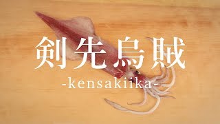 剣先烏賊（けんさきいか）のさばき方 - How to filet Swordtip squid -｜日本さばけるプロジェクト（海と日本プロジェクト）