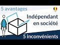 Etre indpendant en socit  5 avantages et 5 inconvnients independant belgique