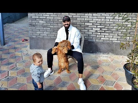 ZAMİQ HÜSEYNOV OĞLU