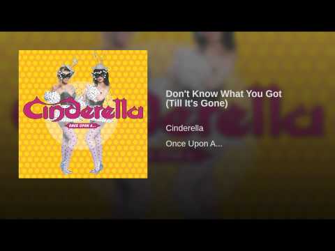 Don't Know What You Got (Till It's Gone)