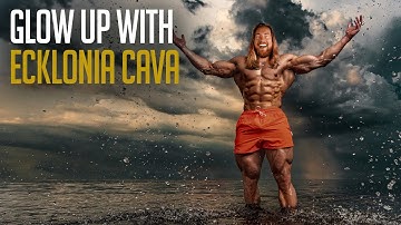 Glow, Grow, and Go: Ecklonia cava’s Beauty & Strength Secrets