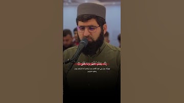 "تلاوة هادئة لسورة الاعلى بصوت القارئ هونر شيخ البزيني