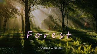 Forest: Ambient Meditation for Sleep and Relaxation