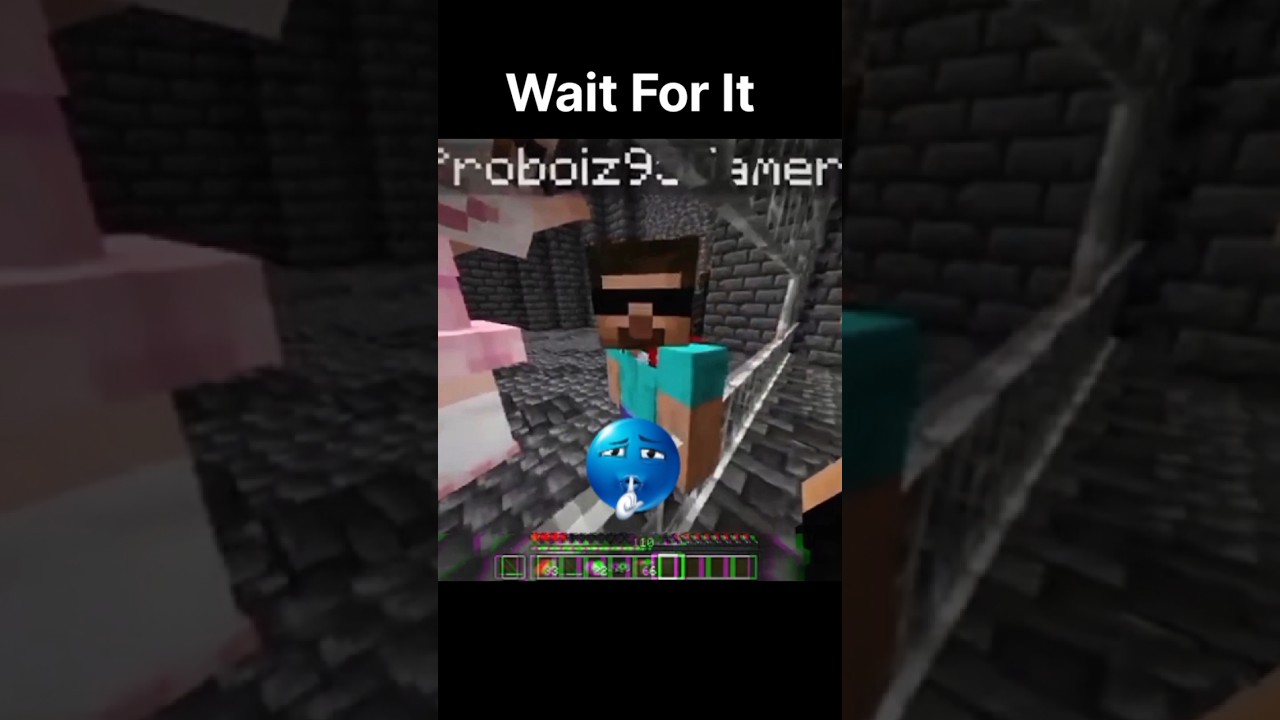 DUMBEST MOMENT of proboiz 95😂🤣💀