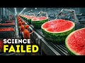 Why Seedless Fruit Could Backfire Really Badly