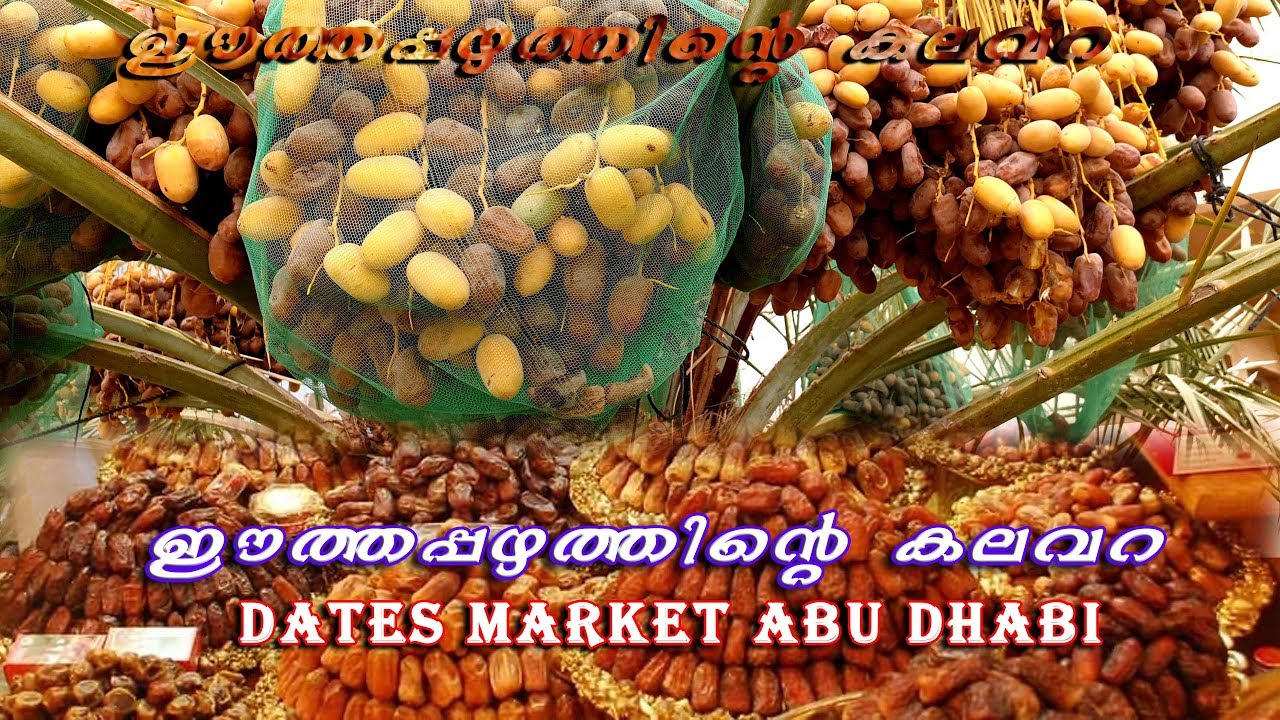 Dates Market  - Fruits Vegetable Market Abu Dhabi UAE -09