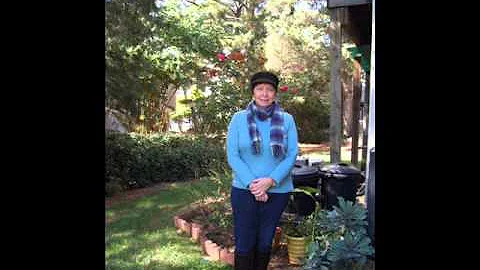 Robin Willard sings - The Eagles - Love will keep ...