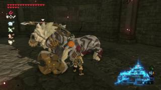 Hyrule Castle Second Gatehouse Sword White Maned Lynel By Tracy R