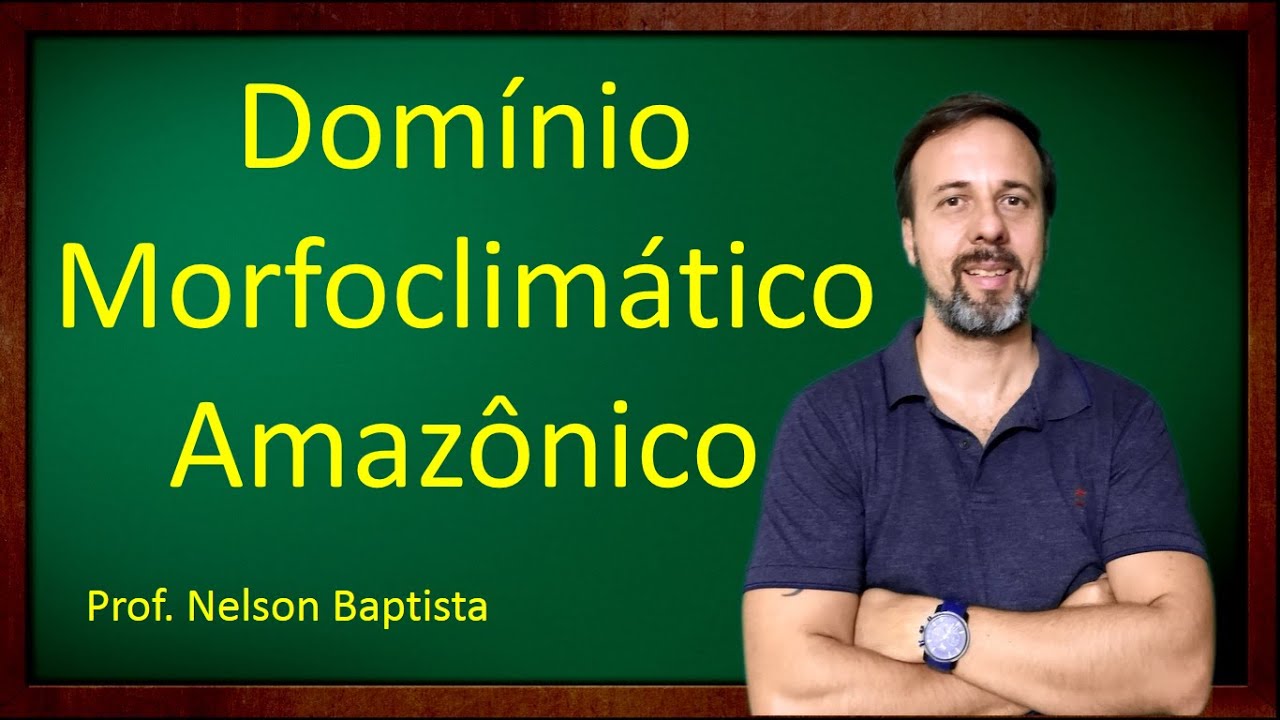 Domínio morfoclimático amazônico